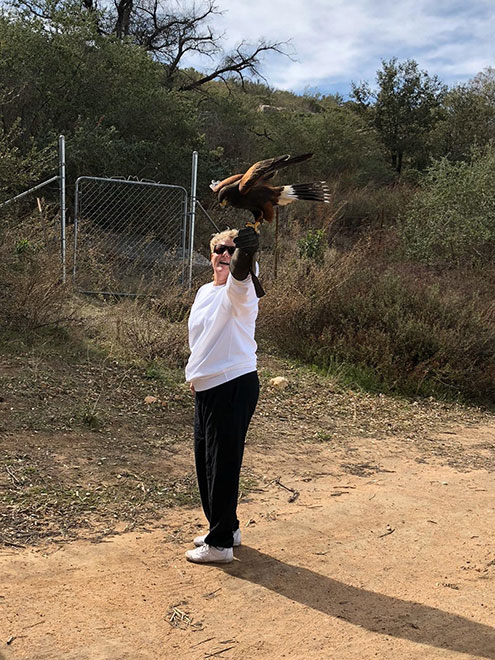 Hiking-with-a-teenage-hawk